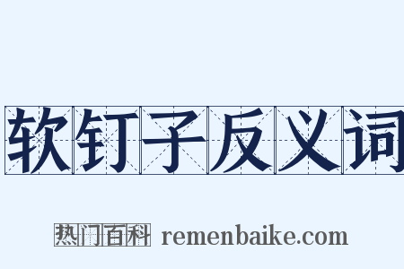 软钉子反义词是什么意思的图片